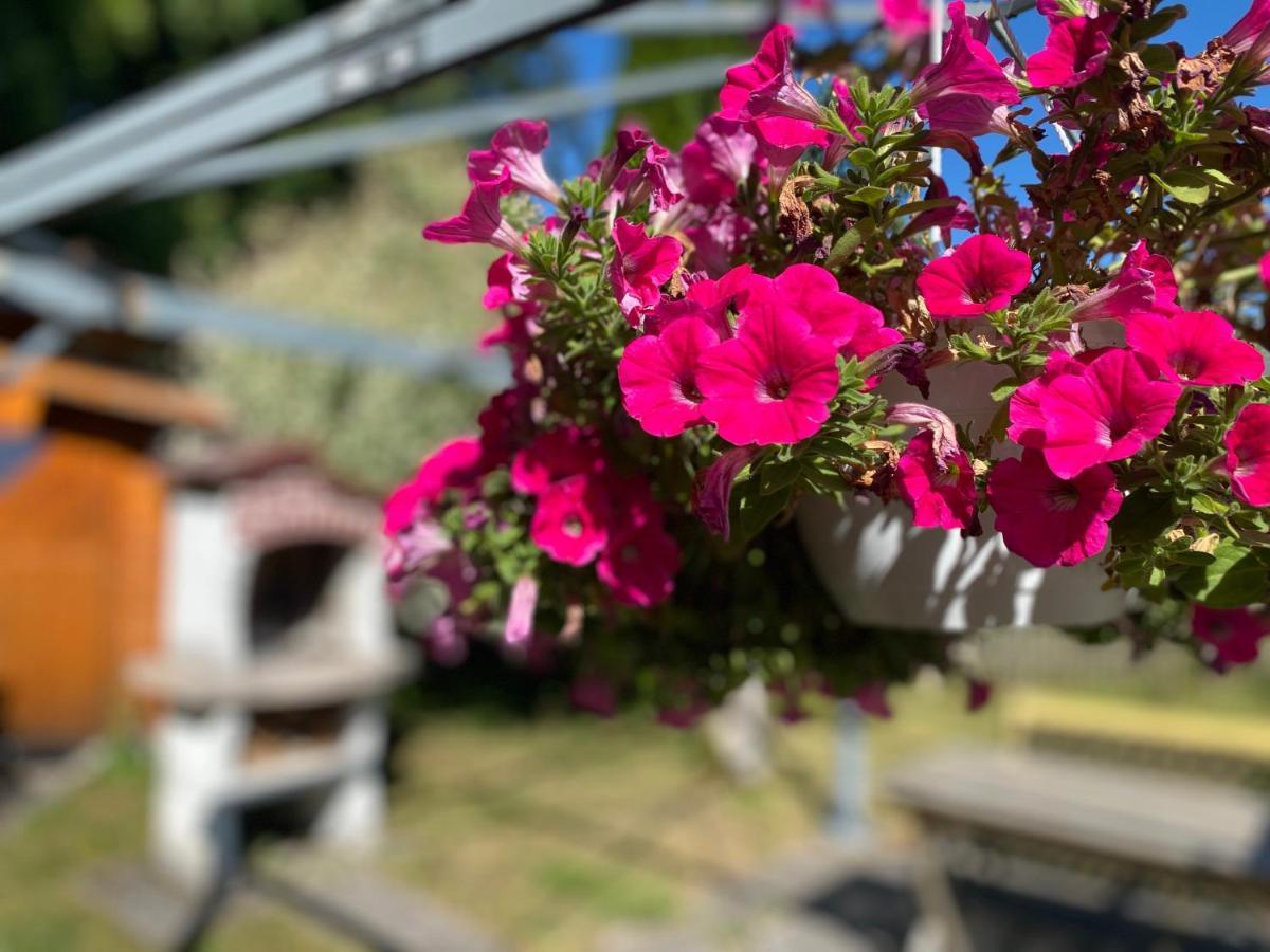 Ferienwohnung Am Franziskanergarten Bad Tolz Ngoại thất bức ảnh