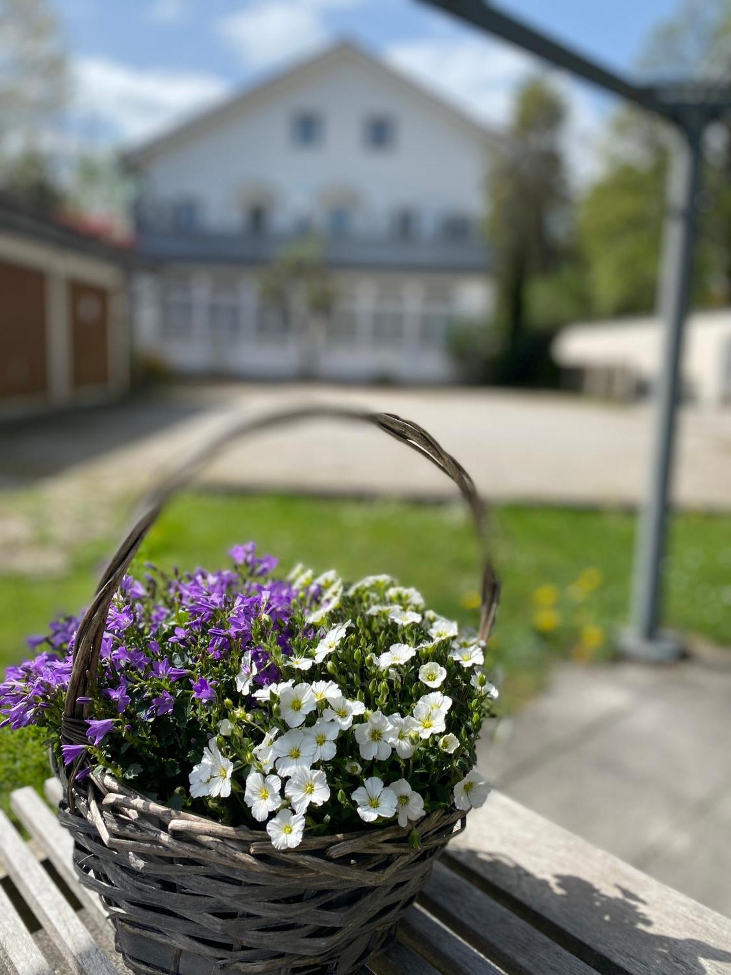 Ferienwohnung Am Franziskanergarten Bad Tolz Ngoại thất bức ảnh